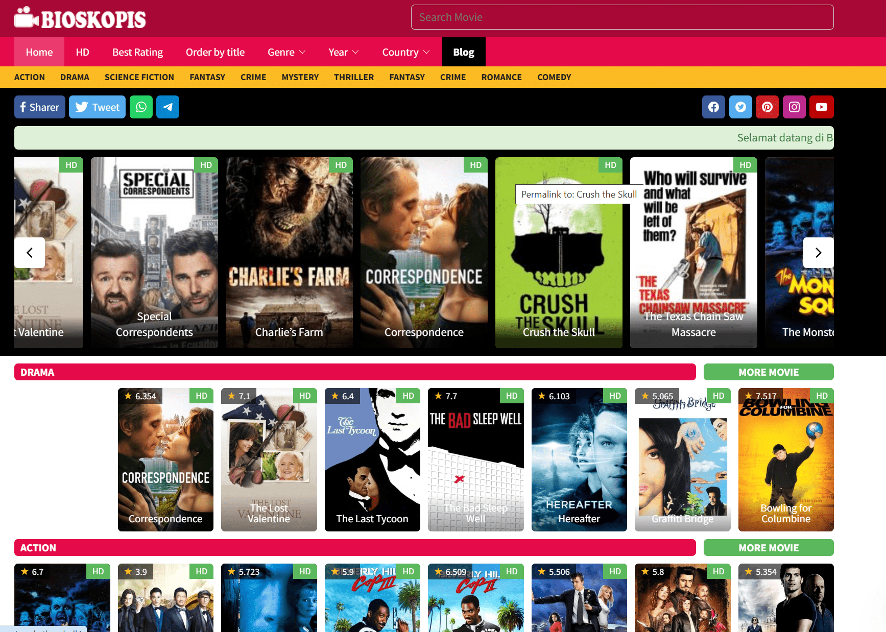 Jasa Pembuatan Website Streaming Film